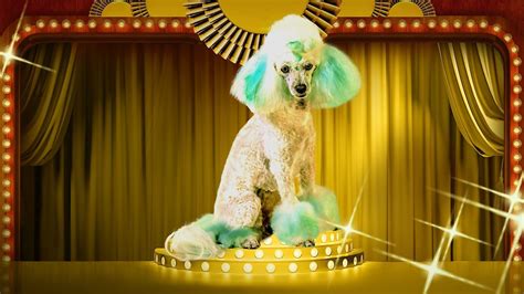 alluc haute dog|Watch Haute Dog Online .